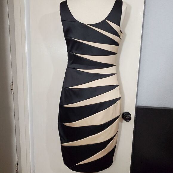 Signature by Sangria Black and Cream Mini Dress - Picture 8 of 9